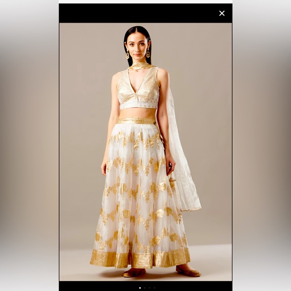 Lehenga - Picture 1 of 4